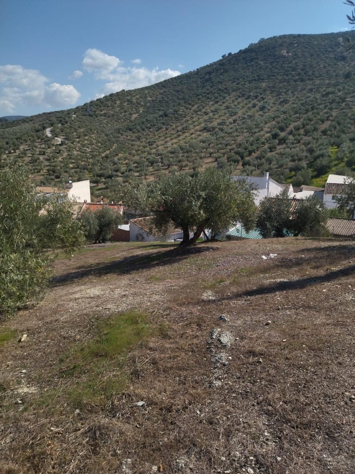 Magnifica casa en la sierra de San Pedro de Jaen