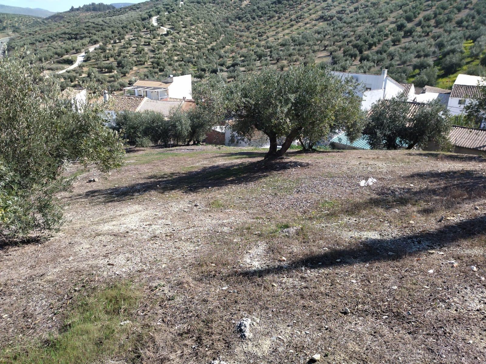 Magnifica casa en la sierra de San Pedro de Jaen