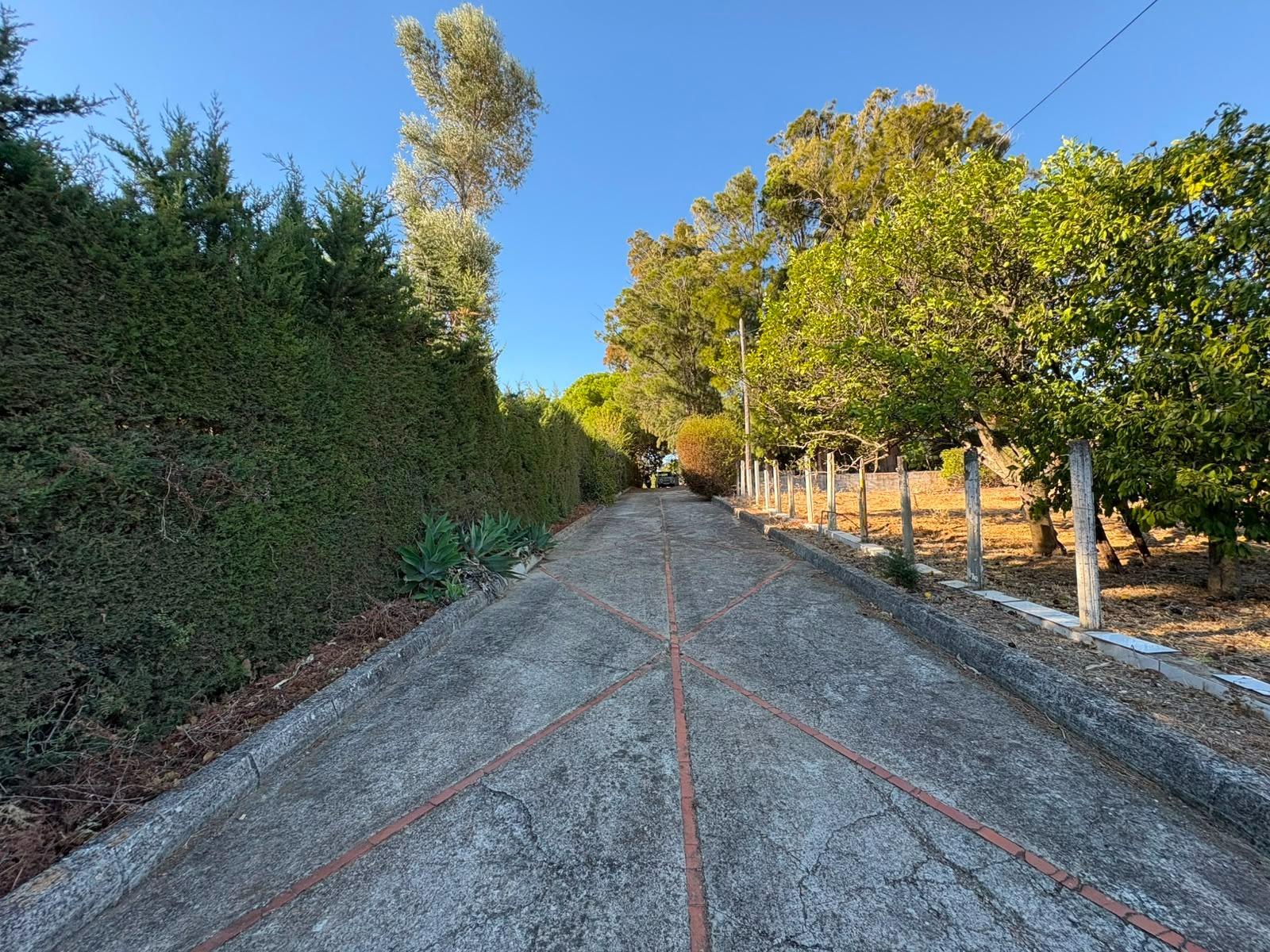 PARCELA RÚSTICA SEGREGADA DE 9.000 M² CON DOS EDIFICACIONES EN EL MARQUESADO, PUERTO REAL