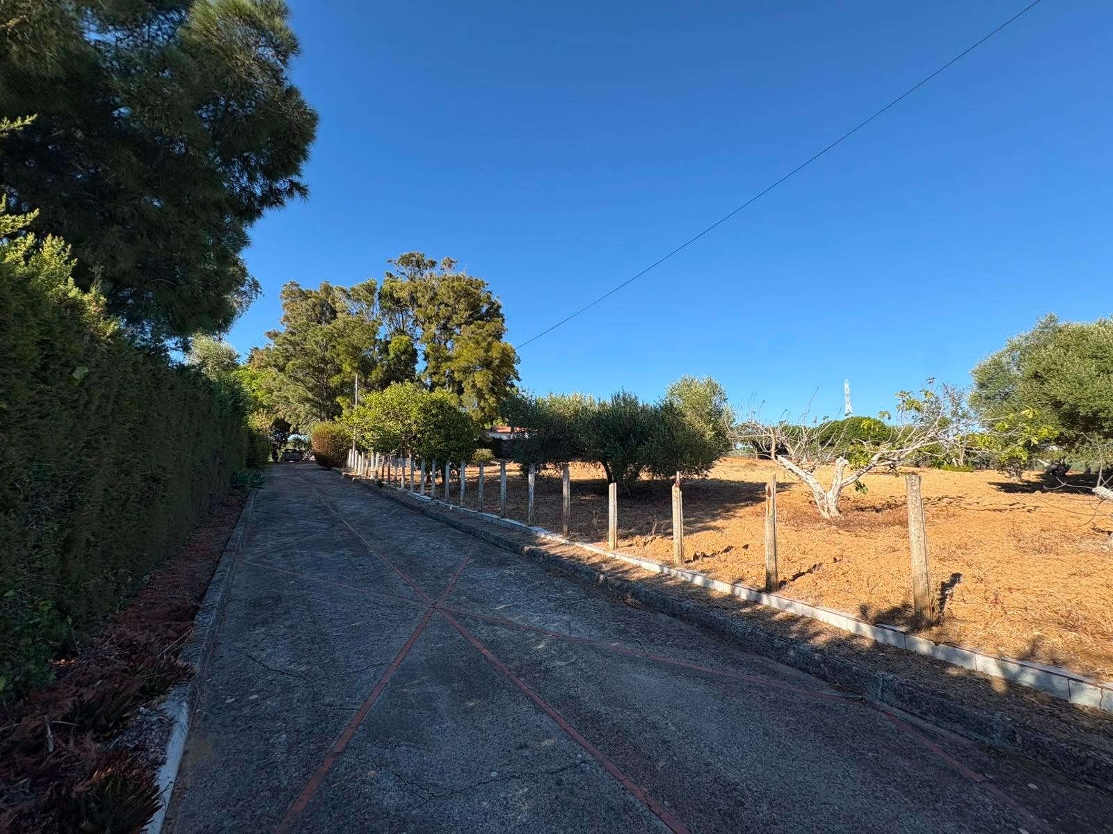 PARCELA RÚSTICA SEGREGADA DE 9.000 M² CON DOS EDIFICACIONES EN EL MARQUESADO, PUERTO REAL