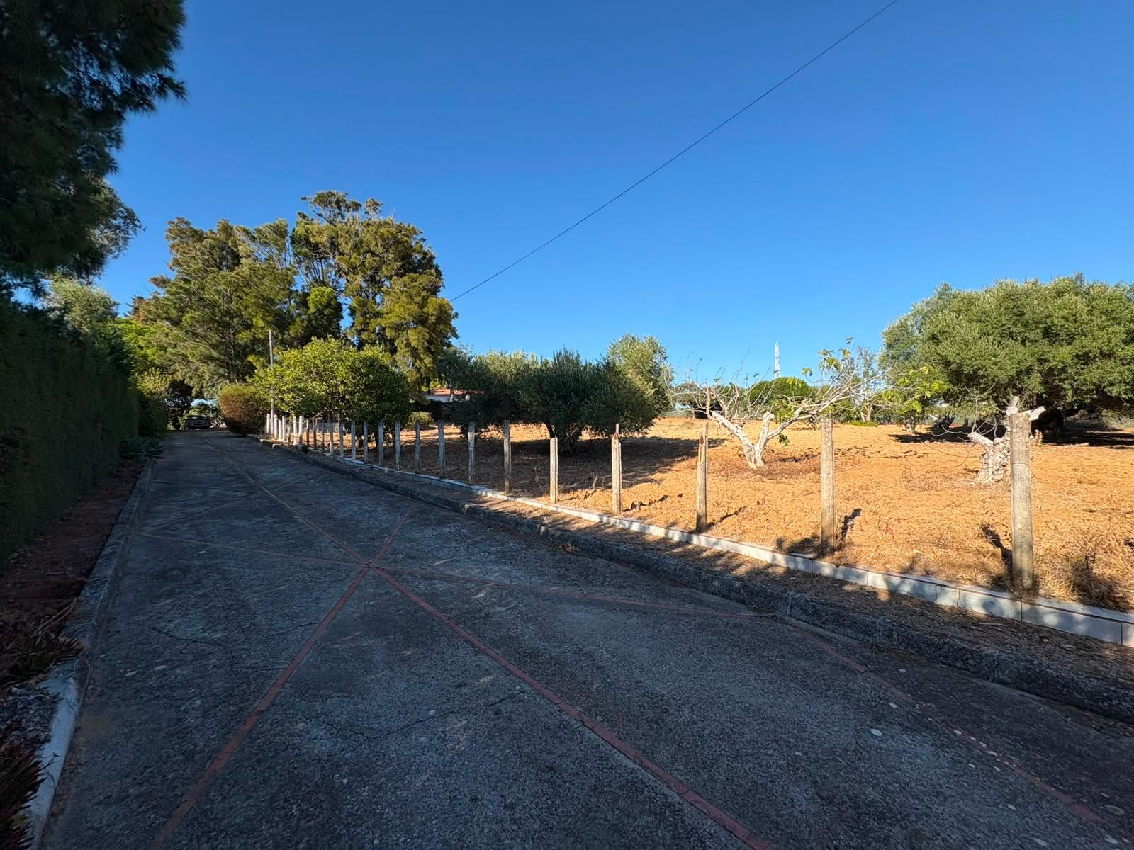 PARCELA RÚSTICA SEGREGADA DE 9.000 M² CON DOS EDIFICACIONES EN EL MARQUESADO, PUERTO REAL
