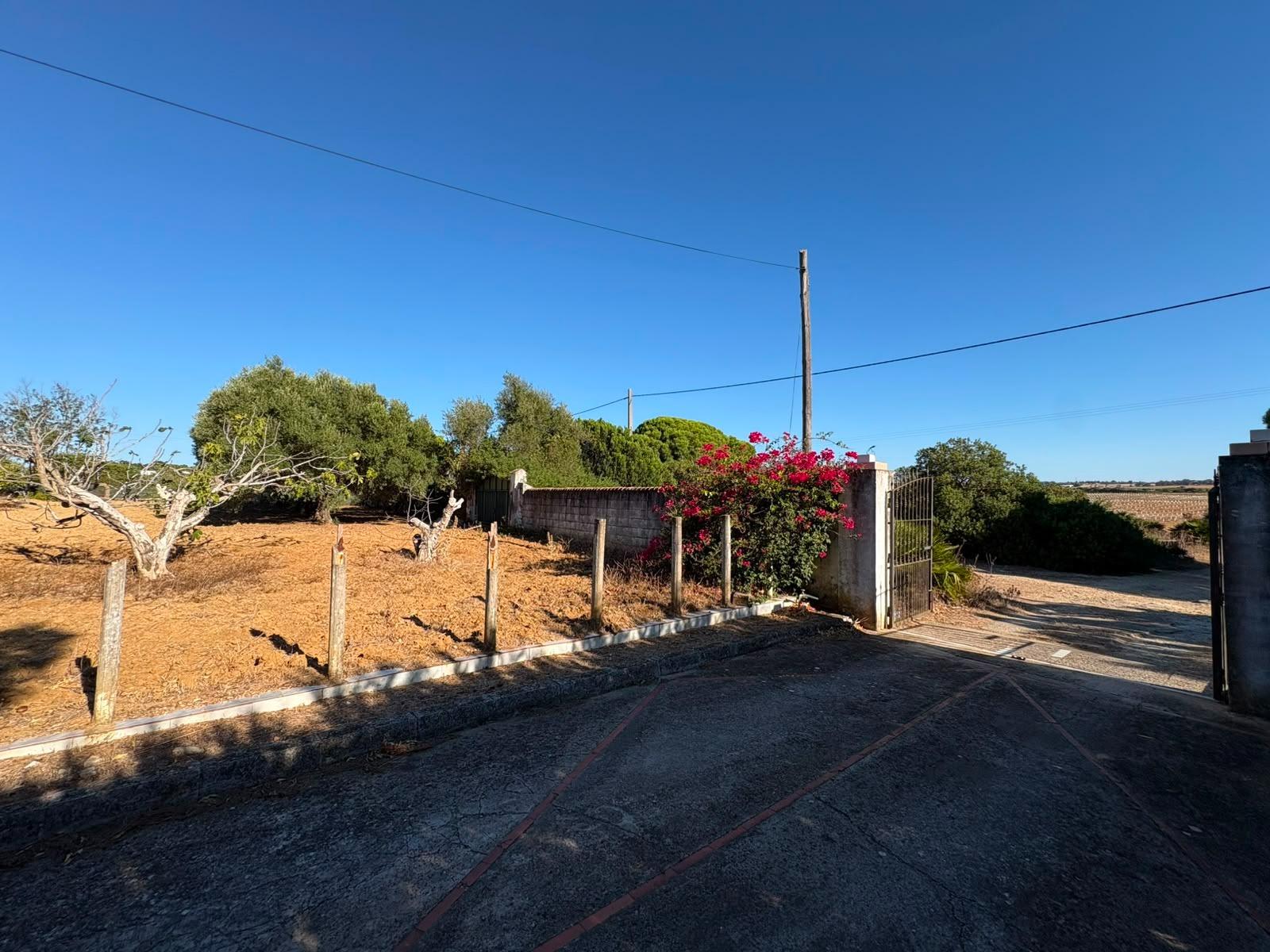 PARCELA RÚSTICA SEGREGADA DE 9.000 M² CON DOS EDIFICACIONES EN EL MARQUESADO, PUERTO REAL