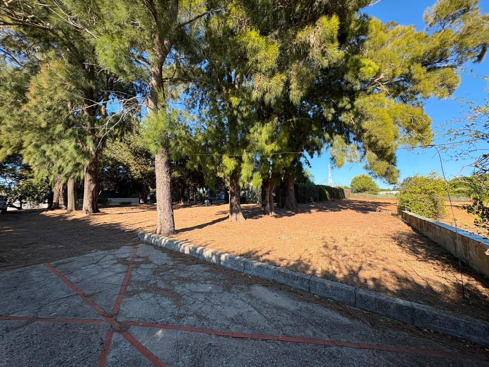 PARCELA RÚSTICA SEGREGADA DE 9.000 M² CON DOS EDIFICACIONES EN EL MARQUESADO, PUERTO REAL