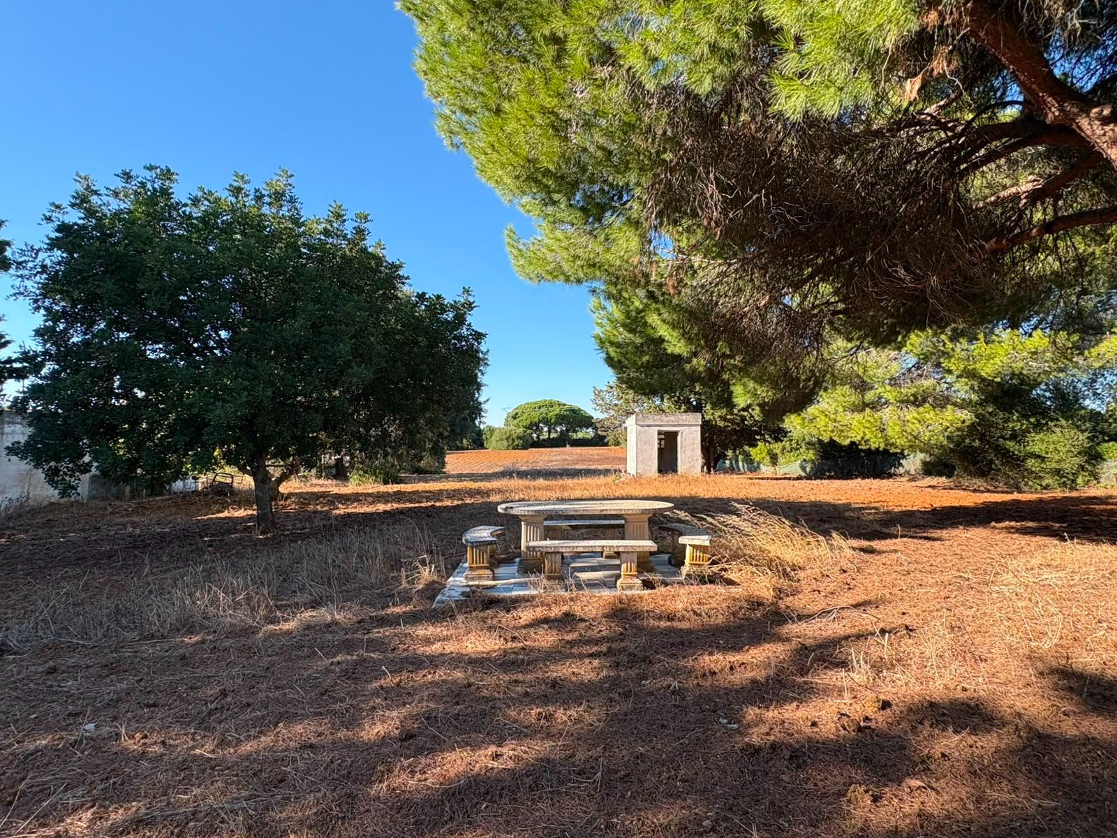 PARCELA RÚSTICA SEGREGADA DE 9.000 M² CON DOS EDIFICACIONES EN EL MARQUESADO, PUERTO REAL