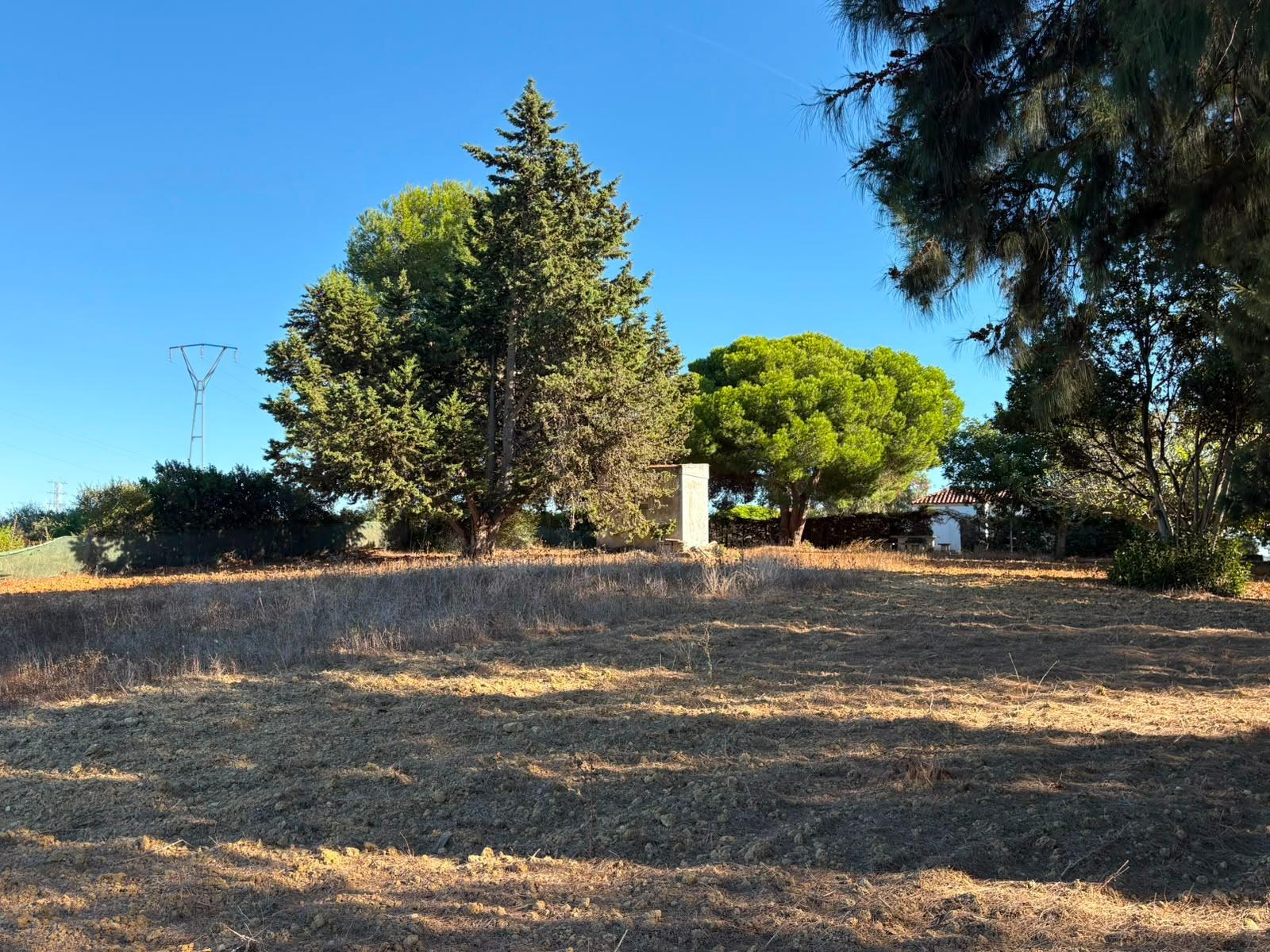 PARCELA RÚSTICA SEGREGADA DE 9.000 M² CON DOS EDIFICACIONES EN EL MARQUESADO, PUERTO REAL