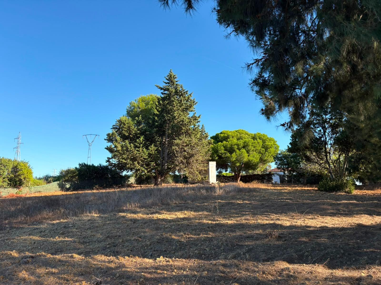 PARCELA RÚSTICA SEGREGADA DE 9.000 M² CON DOS EDIFICACIONES EN EL MARQUESADO, PUERTO REAL