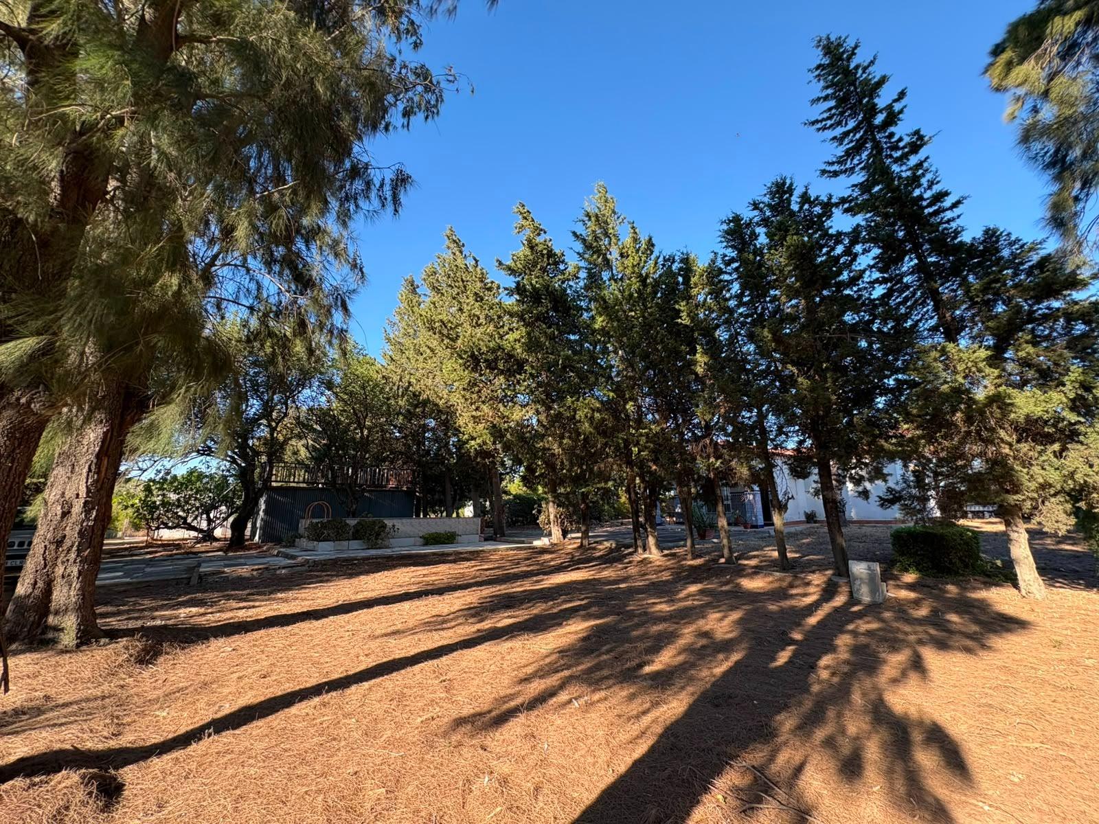 PARCELA RÚSTICA SEGREGADA DE 9.000 M² CON DOS EDIFICACIONES EN EL MARQUESADO, PUERTO REAL