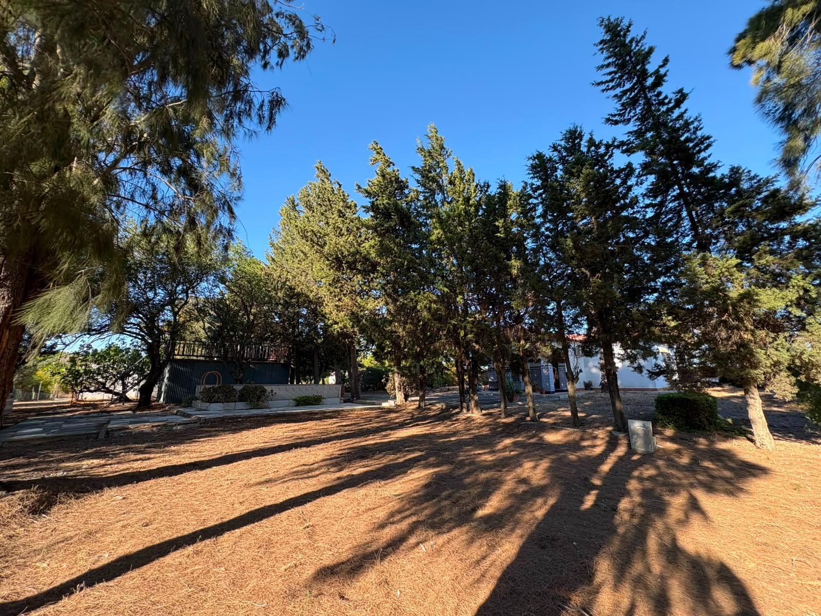 PARCELA RÚSTICA SEGREGADA DE 9.000 M² CON DOS EDIFICACIONES EN EL MARQUESADO, PUERTO REAL