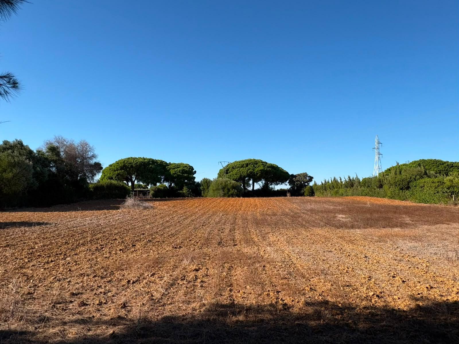 PARCELA RÚSTICA SEGREGADA DE 9.000 M² CON DOS EDIFICACIONES EN EL MARQUESADO, PUERTO REAL