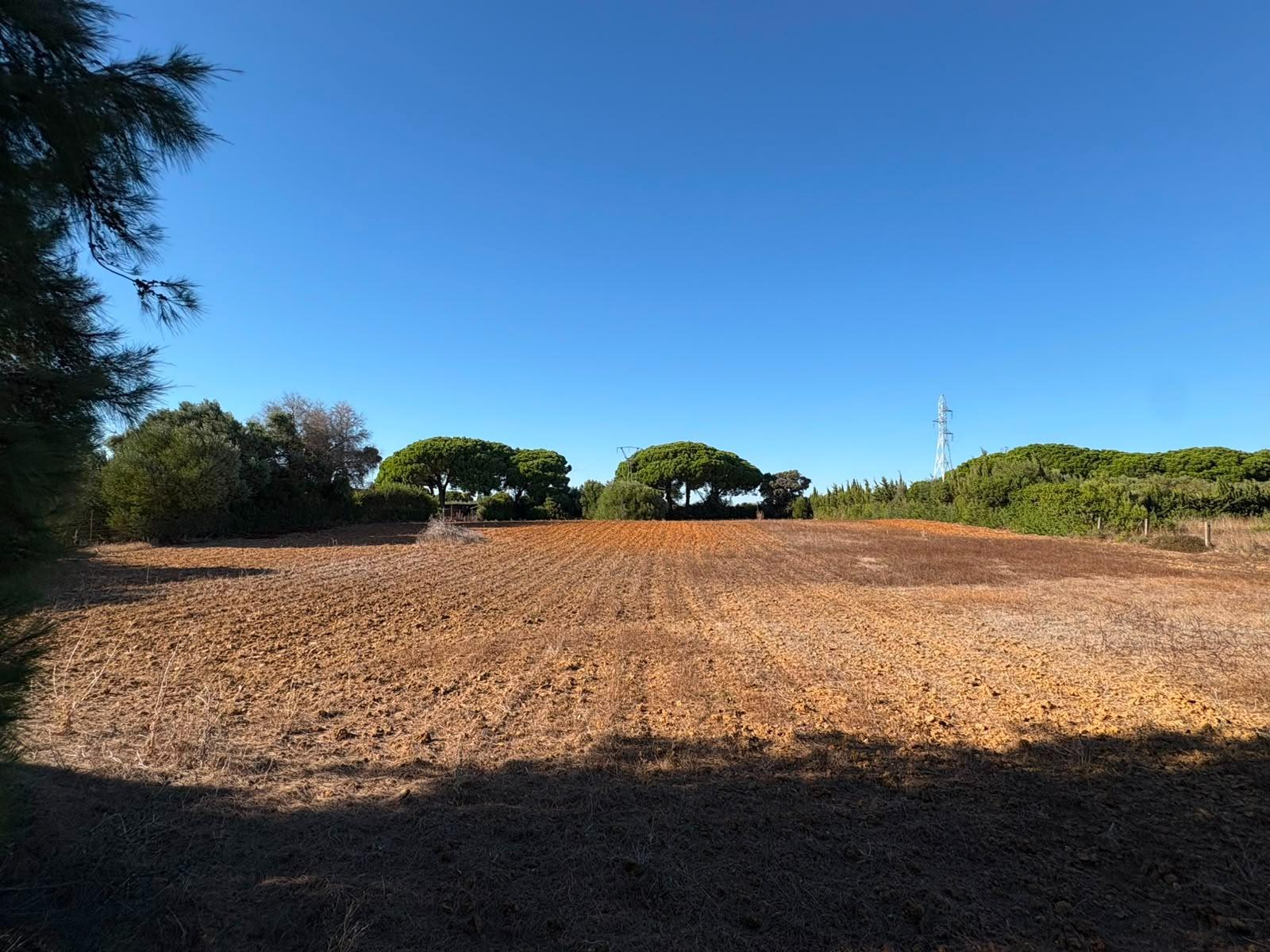 PARCELA RÚSTICA SEGREGADA DE 9.000 M² CON DOS EDIFICACIONES EN EL MARQUESADO, PUERTO REAL